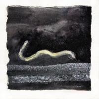 snake in the road_7978.JPG