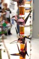__origami cranes.jpg